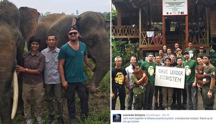 Menteri Siti Nurbaya Tuding Leonardo DiCaprio Kurang Informasi